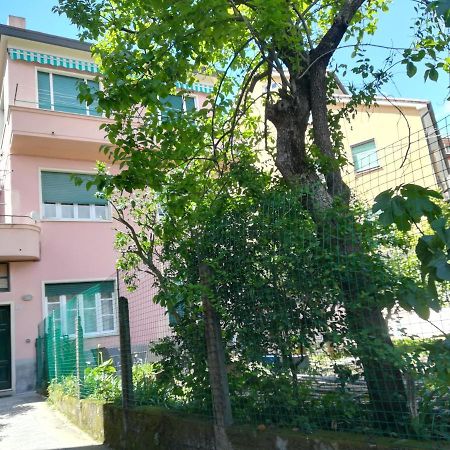 Casa Delle Arance Leilighet Monterosso al Mare Eksteriør bilde